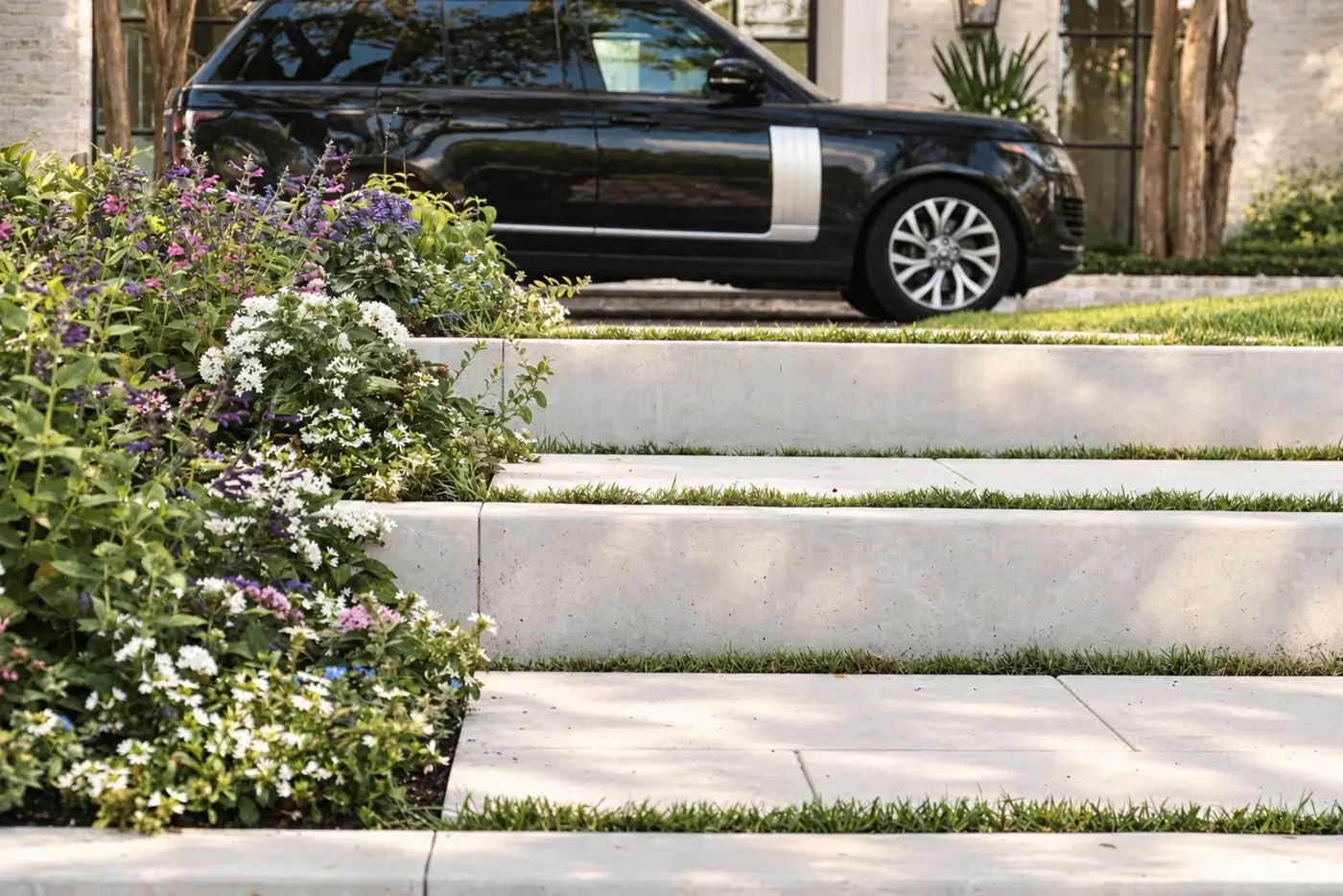 Stone steps rising past white flowering shrubs