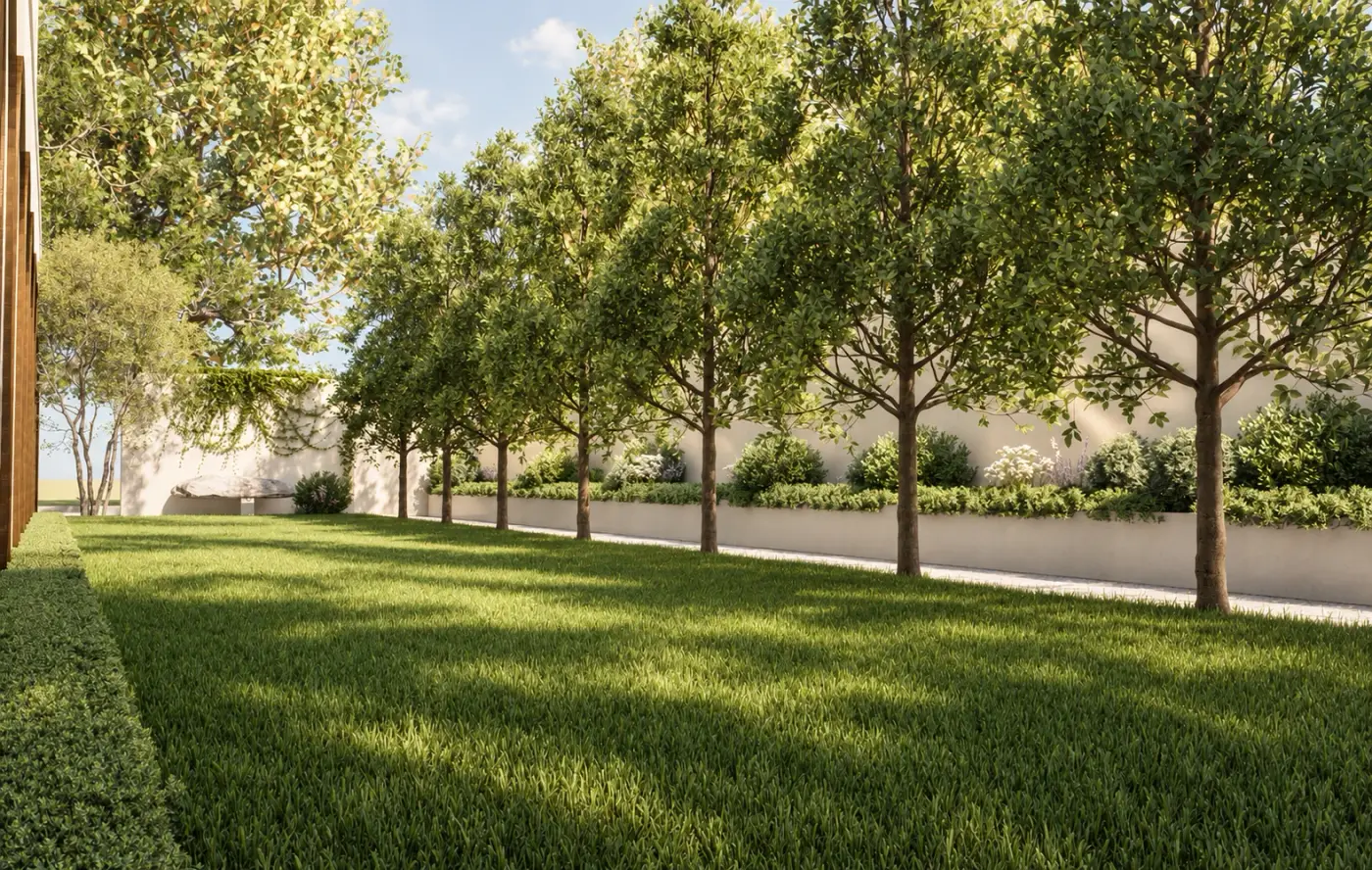 Rendering of a long lawn lined with trees