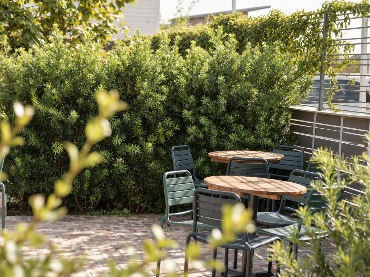 Patio tables surrounded by hedges and grasses