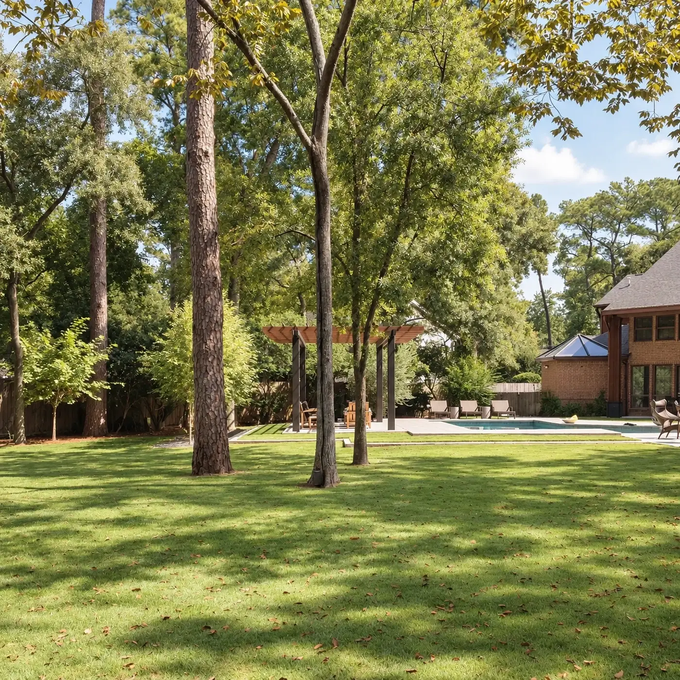 Lawn beneath tall pines with a pergola beyond