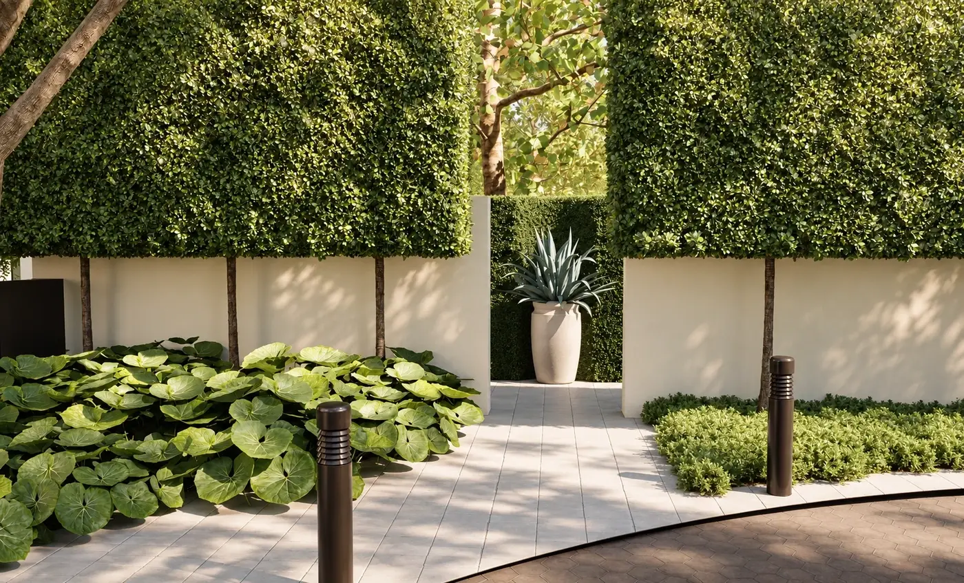Rendering of a hedged courtyard with a planter and broad-leaved planting