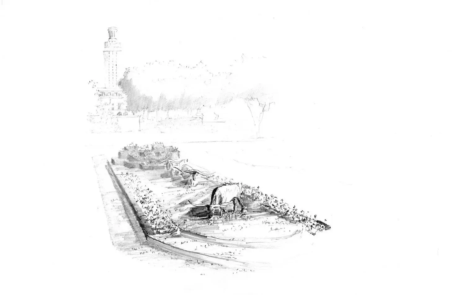 Pencil sketch of a planted bed with a campus tower beyond